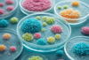 Gut Microbiome: A New Frontier in Predicting Immunotherapy Outcomes for Gynecologic Cancers